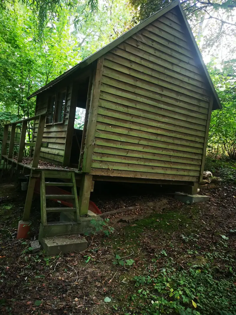 Paroi d’un cabanon en bois présentant des dépôts verts avant nettoyage