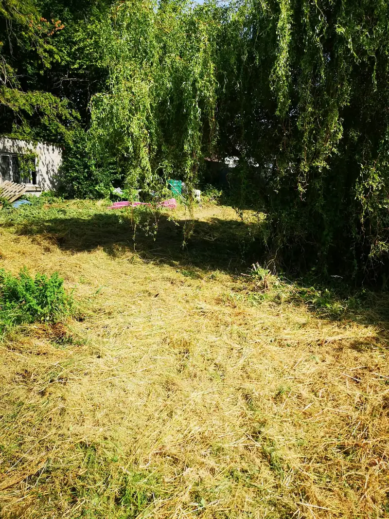 Herbes coupées sur une parcelle après remise en état