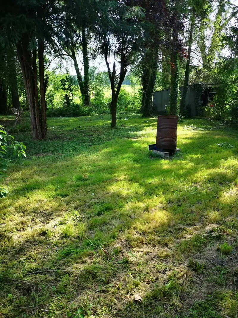 Terrain arboré remis au propre par Garden7, herbes coupées et passage dégagé